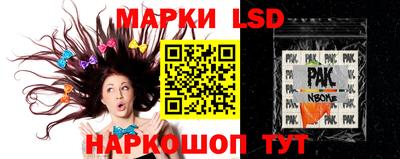 прущие грибы Будённовск