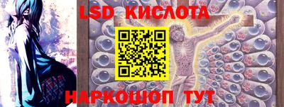 прущие грибы Будённовск