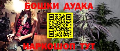 прущие грибы Будённовск