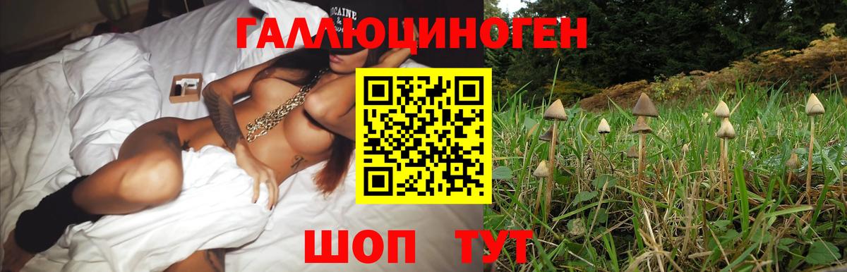 Псилоцибиновые грибы Psilocybine cubensis  Вход с VPN  Галлюциногенные грибы мицелий  Трёхгорный 